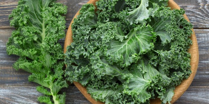 Aliments : 5 légumes à consommer après 50 ans selon une diététicienne