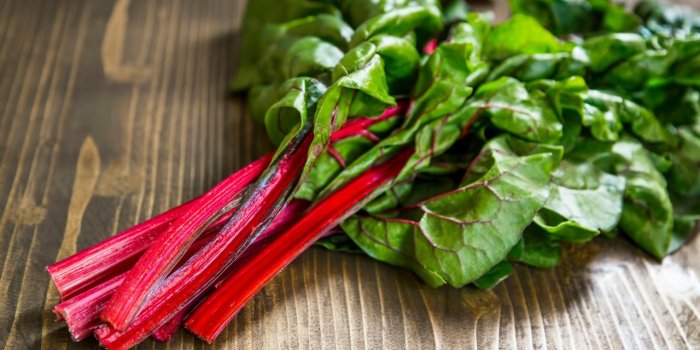 Aliments : 5 légumes à consommer après 50 ans selon une diététicienne