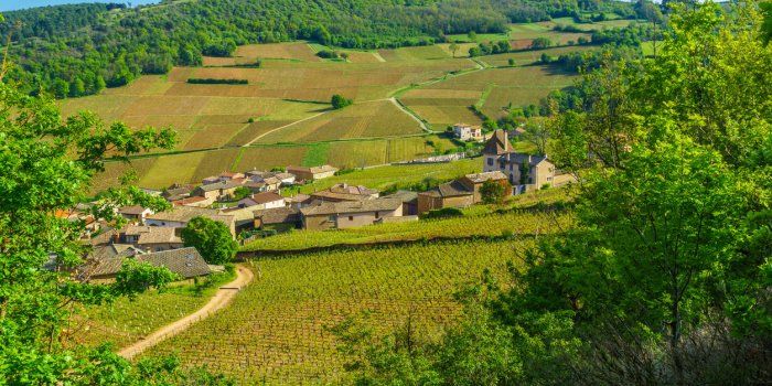 Covid-19 : 20 dÃ©partements Ã©pargnÃ©s par les variants BA.4 et BA.5