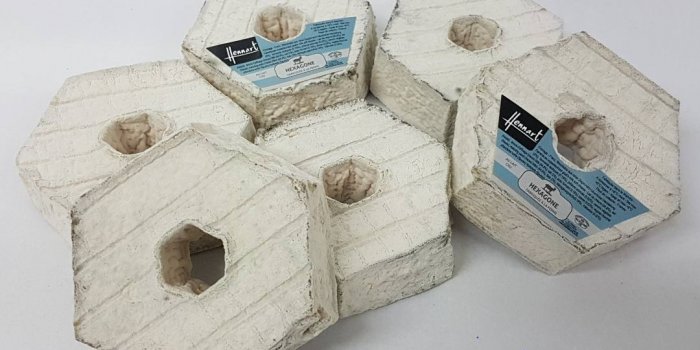 Rappel de fromages pour Listeria : les 5 produits concernés