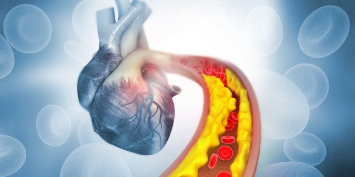 SantÃ© : les 8 bienfaits du chou