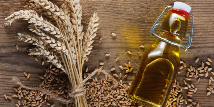 Vitamine E : 10 aliments pour faire le plein