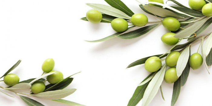 CÅur : 10 aliments Ã  manger Ã  chaque repas pour soigner vos artÃ¨res 