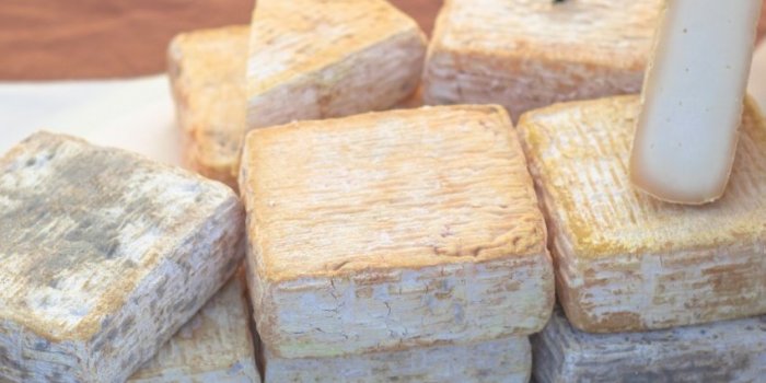 Animaux, fromages, plantesâ¦ Voici les 6 pires odeurs selon les scientifiques