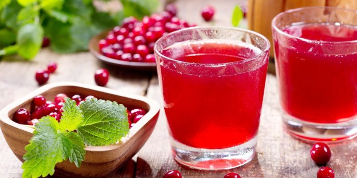 Reins : les 5 boissons pour en prendre soin