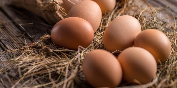 Top 10 des aliments utilisés en cosmétique