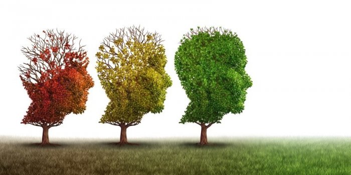Alzheimer, démence⦠5 signes que vous souffrez dâune maladie neurodégénérative