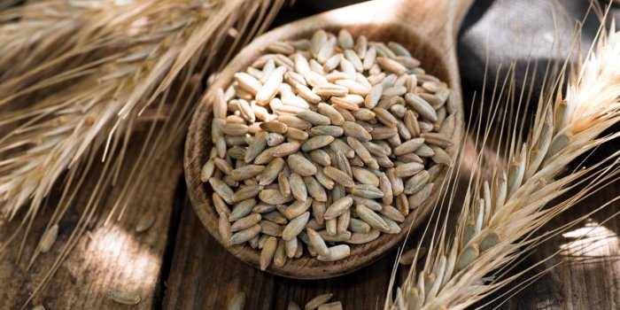 Ces 5 grains qu'il faut manger pour préserver sa santé cardiaque