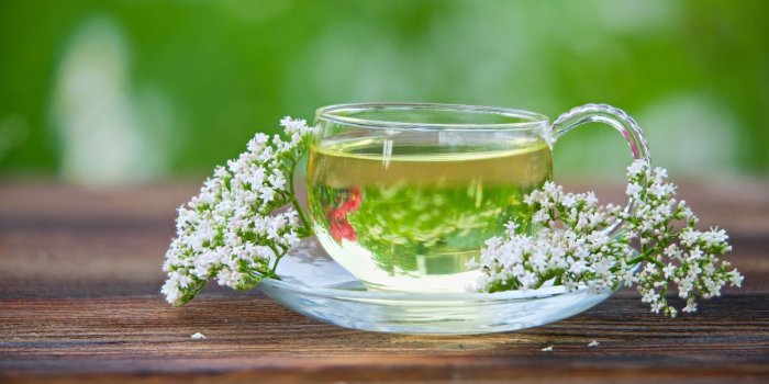 7 tisanes santÃ© pour l'automne