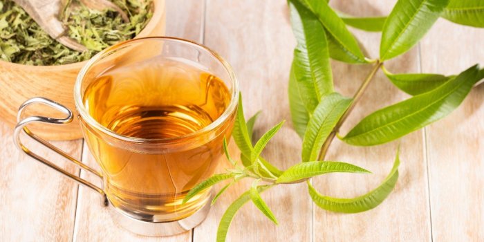 11 plantes pour une vitalitÃ© sexuelle reboostÃ©e