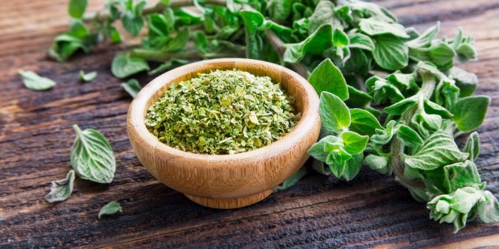 5 herbes aromatiques à faire pousser chez soi (et leurs bienfaits)
