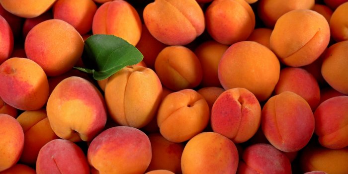 Ballonnements : les 6 meilleurs fruits pour les Ã©viter 