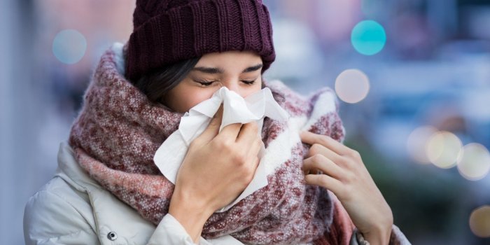 Hiver : les 5 vertus de la gelÃ©e royale contre les maux saisonniers