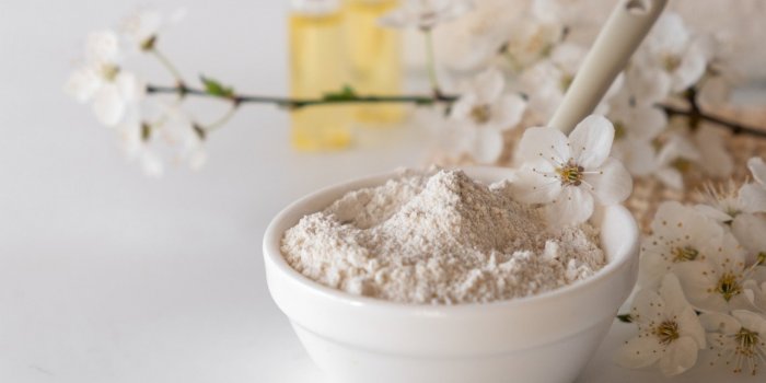 Gaz intestinaux, ballonnements : 10 plantes contre la digestion difficile