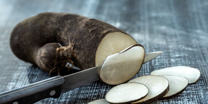 Gaz intestinaux, ballonnements : 10 plantes contre la digestion difficile