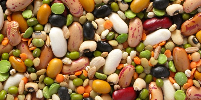 Minceur : 12 aliments conseillés pour la perte de poids après 50 ans