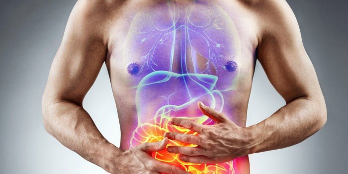 Cancer du pancrÃ©as : 5 symptÃ´mes qui doivent vous alerter aprÃ¨s les fÃªtes 