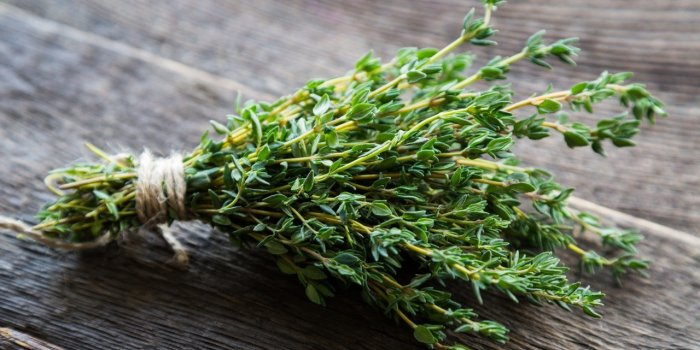 5 Ã©pices qui agissent contre la diarrhÃ©e