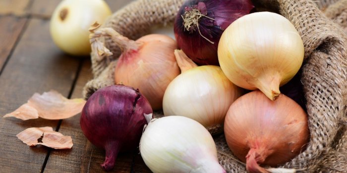 Détox après les fêtes : 12 aliments pour éliminer les toxines