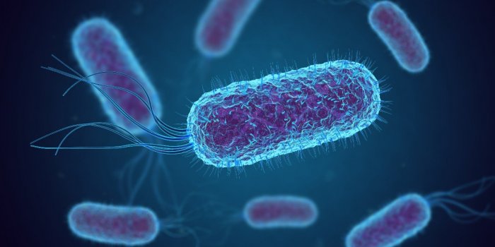 5 maladies graves qui peuvent être déclenchées par la grippe