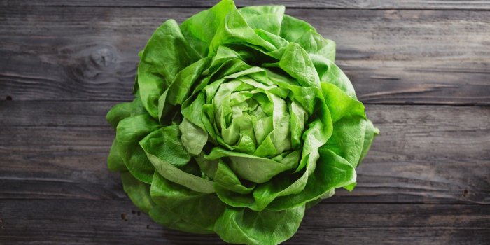 Nutrition : les 7 pÃ©nuries alimentaires auxquelles s'attendre en 2023