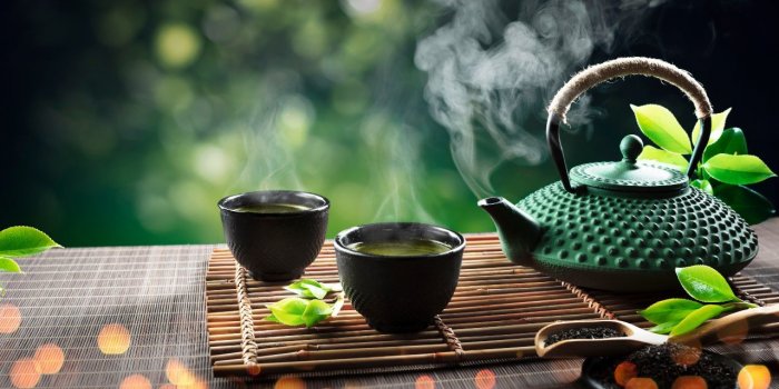 Perte de poids : ces 6 thés stimulent votre métabolisme