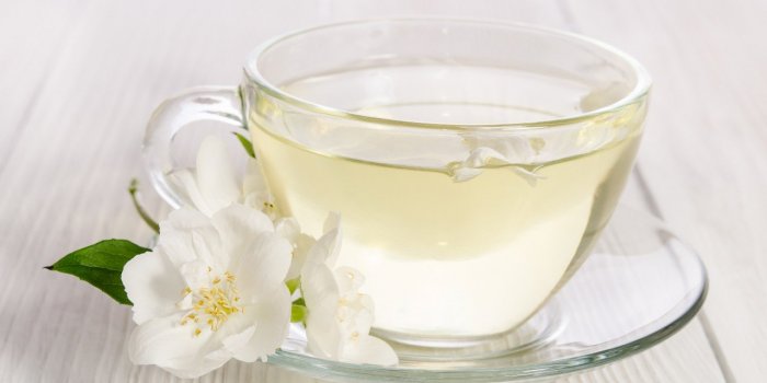 Perte de poids : ces 6 thés stimulent votre métabolisme