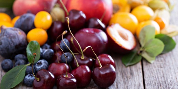 Les 7 aliments Ã  ne jamais donner Ã  son chat