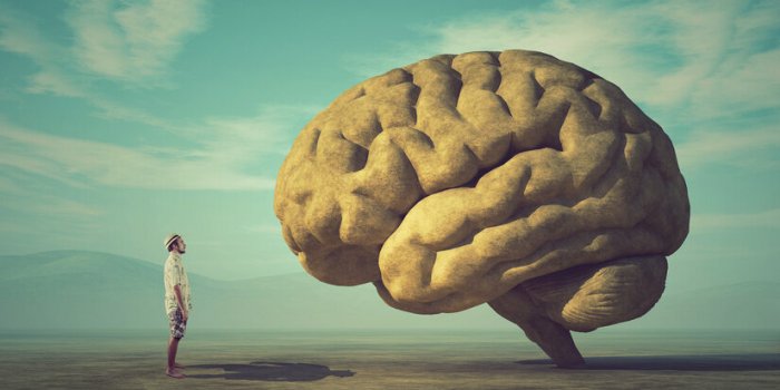 the young and conceptual image of a large stone in the shape of the human brain