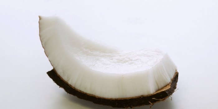 morceau de noix de coco