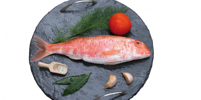 Les 5 poissons les plus riches en omÃ©ga-3