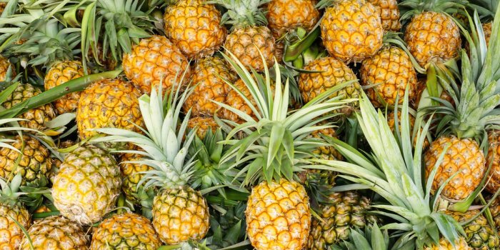 Minceur : 7 fruits Ã  consommer sans modÃ©ration pour perdre du poids