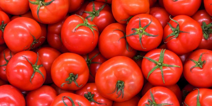 delicious red tomatoes in summer tray market agriculture farm full of organic fresh tomatoes, it can be used as background