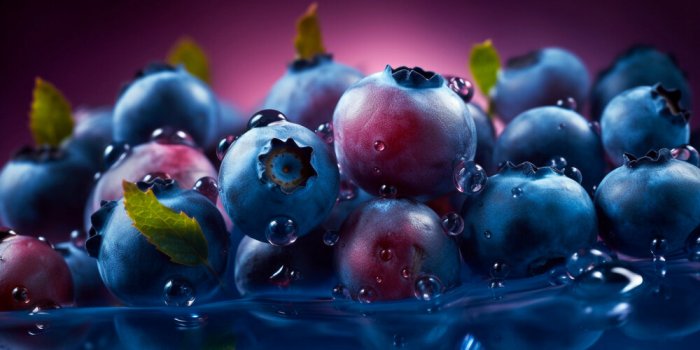 La myrtille : 5 bienfaits de ce superaliment 
