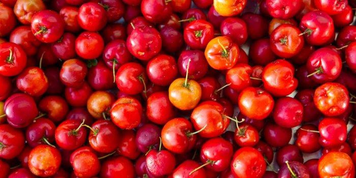 7 baies Ã  intÃ©grer dans votre alimentation Ã  partir de 50 ans !