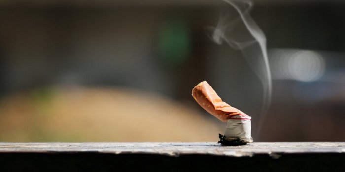 5 rÃ¨gles pour prendre soin de sa flore buccale