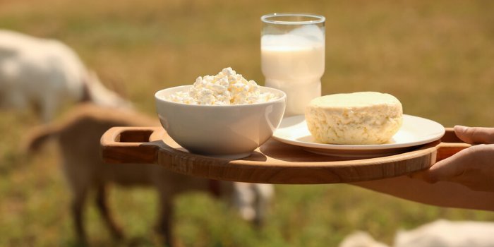 Conso : rappel massif de plusieurs fromages de chèvres dans toute la France