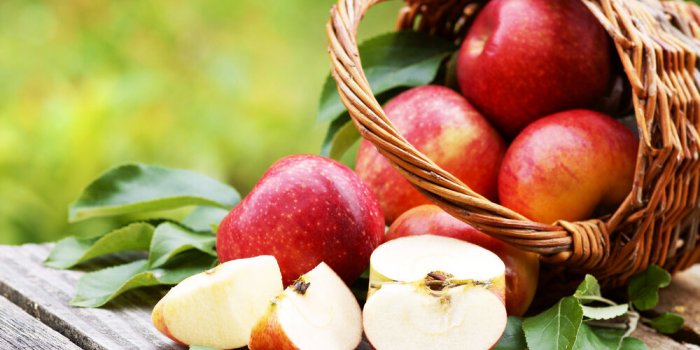 Ces aliments préservent la mémoire