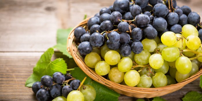 Ces aliments préservent la mémoire