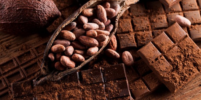 Ces aliments préservent la mémoire