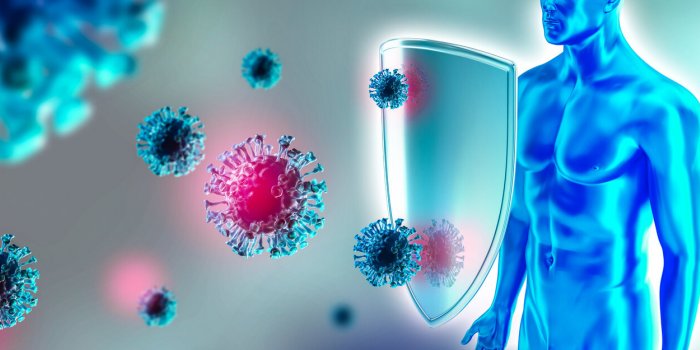 human immune system, protection against viruses and bacterias h