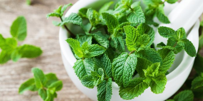 Ballonnements, reflux acidesâ¦ 5 aliments qui provoquent des problÃ¨mes digestifs