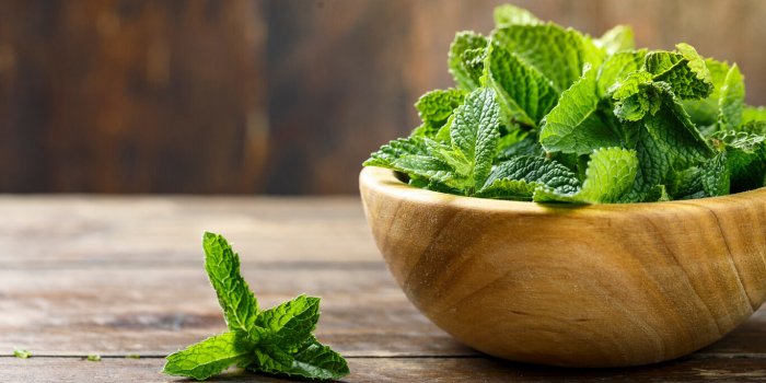 fresh mint in a plate on a wooden background decor for refreshing drinks and desserts place for text