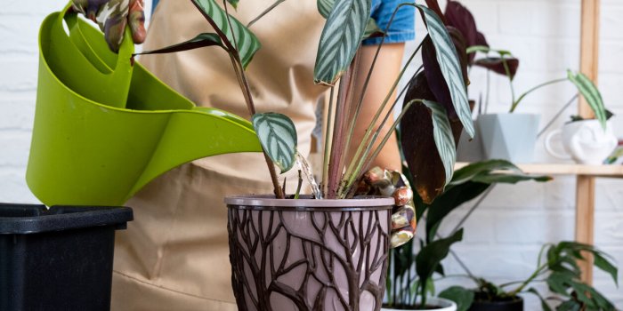  Bien-Ãªtre : classement des 10 tÃ¢ches du quotidien les plus relaxantes 