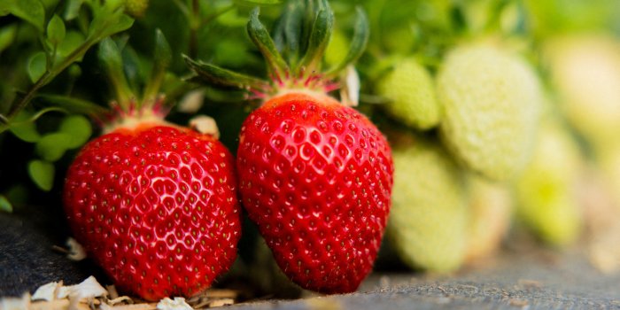 L'apéro c'est bon pour la ligne et la santé ? Oui, avec ces recettes idéales en été !