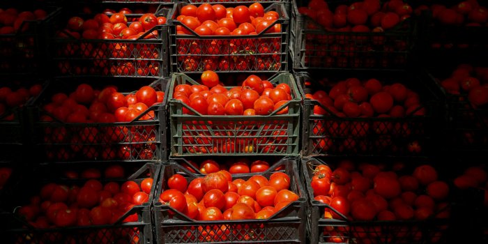 Les 7 fruits et légumes dâété à consommer avec leur peau (et pourquoi)