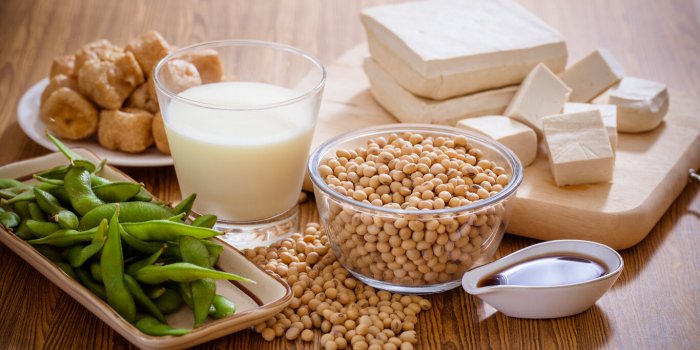 soy bean, tofu and other soy products