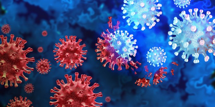 Microbiote intestinal : ces 7 bactéries qui nous veulent du bien