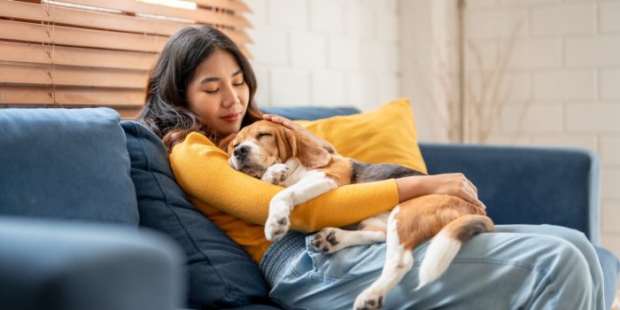 7 maladies favorisées par les acariens
