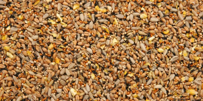7 aliments qui font gagner 10 ans